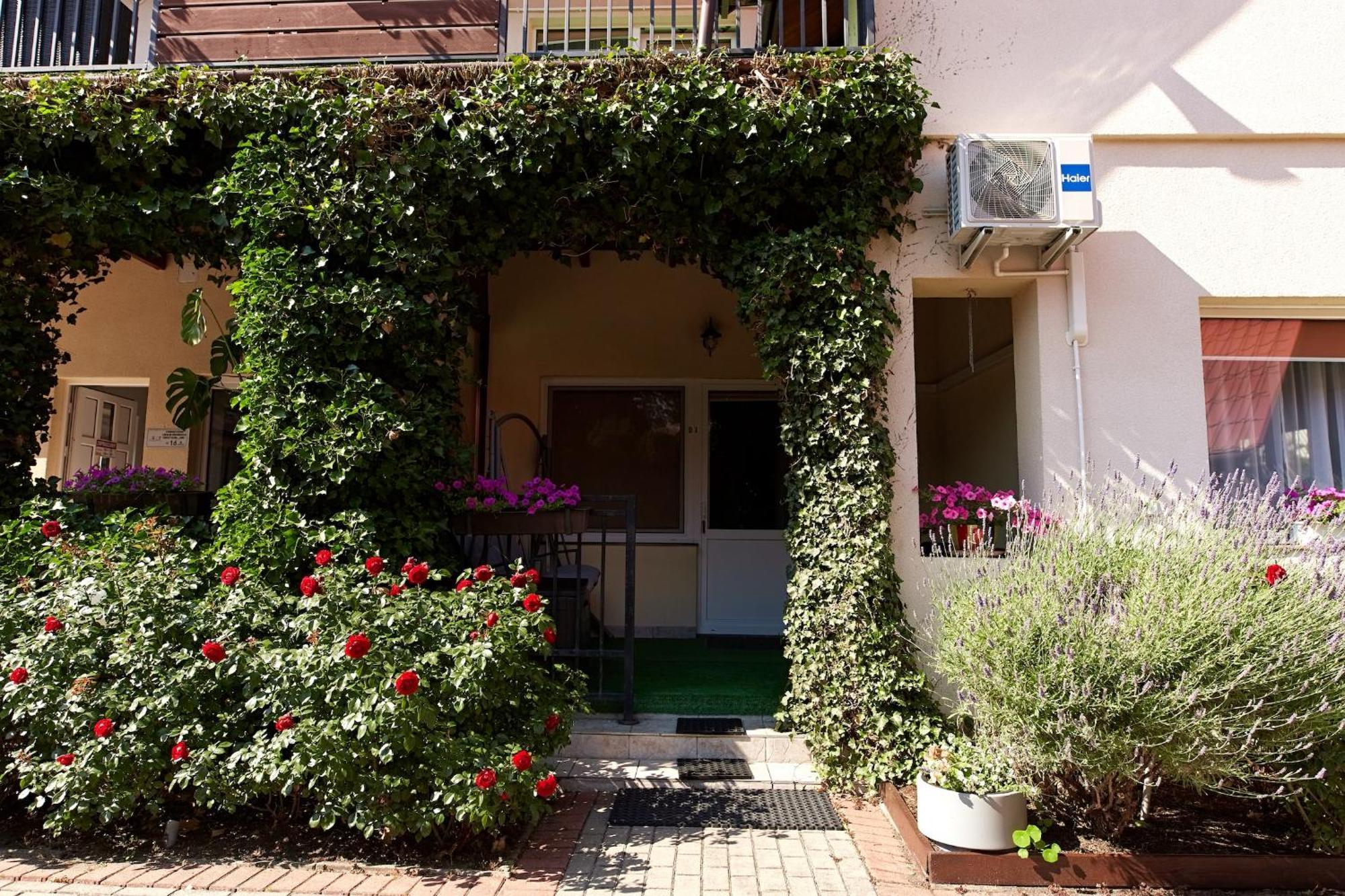Osrodek Wypoczynkowy Relaks I Apartamenty Łeba Chambre photo